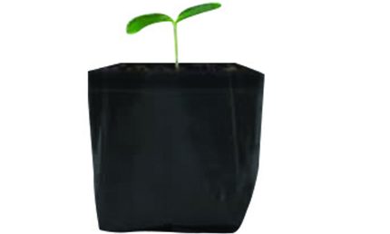 All kinds of ploythene bags - ملش